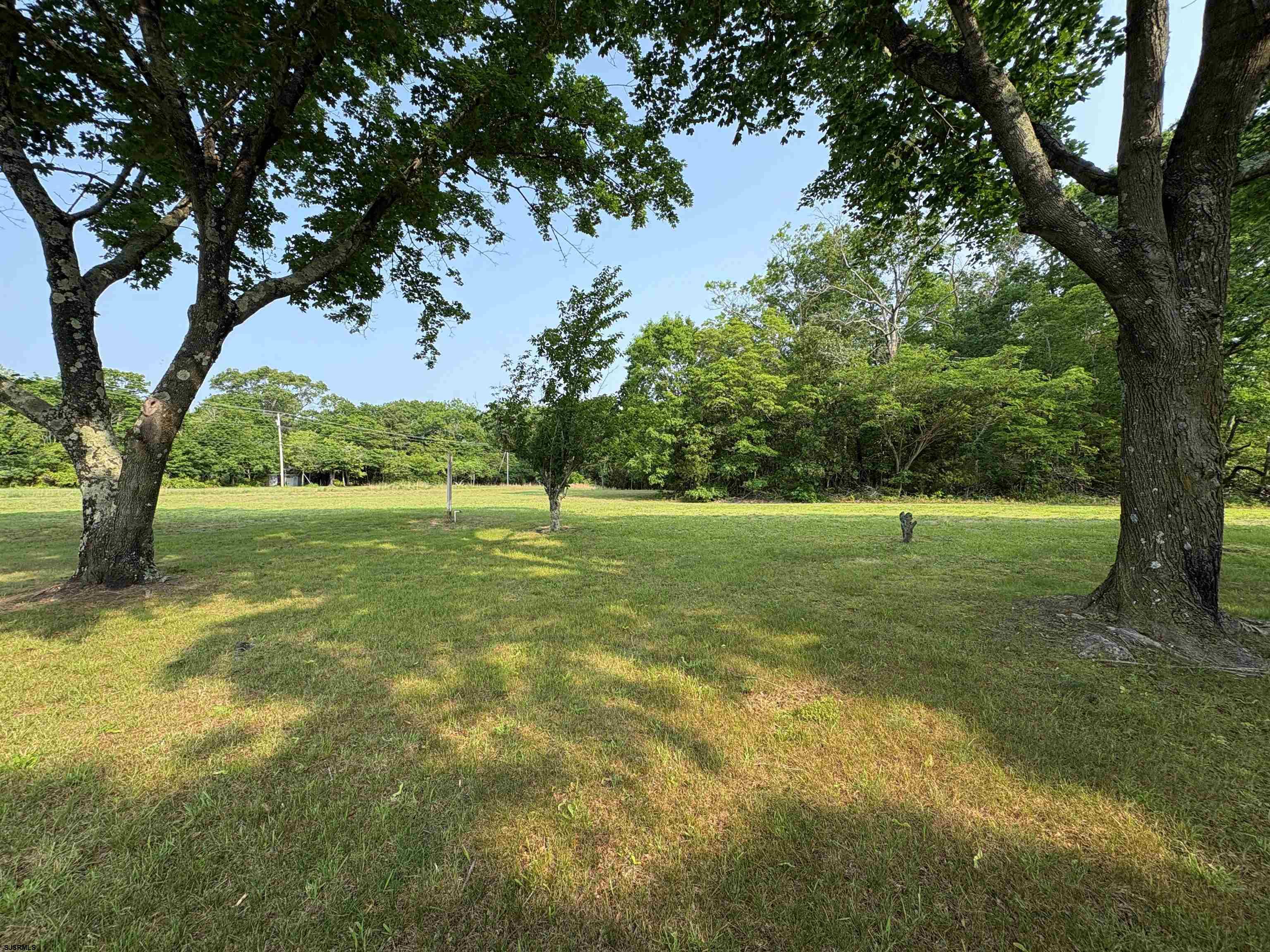 301 Broad Street Milmay, NJ 08330 - Photo 53 of 64 a view of a field with a tree