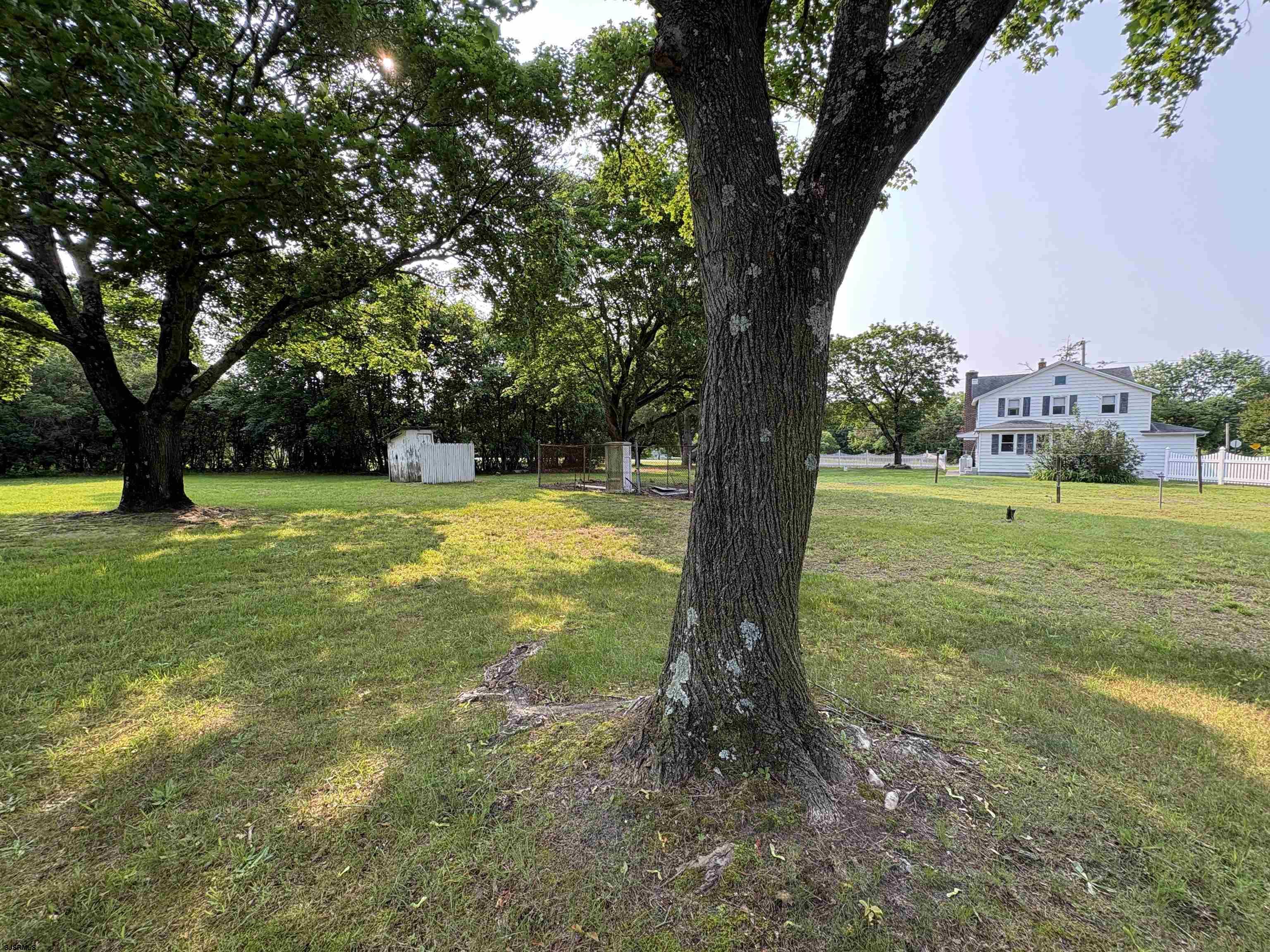 301 Broad Street Milmay, NJ 08330 - Photo 54 of 64 a view of a trees with yard and a large tree