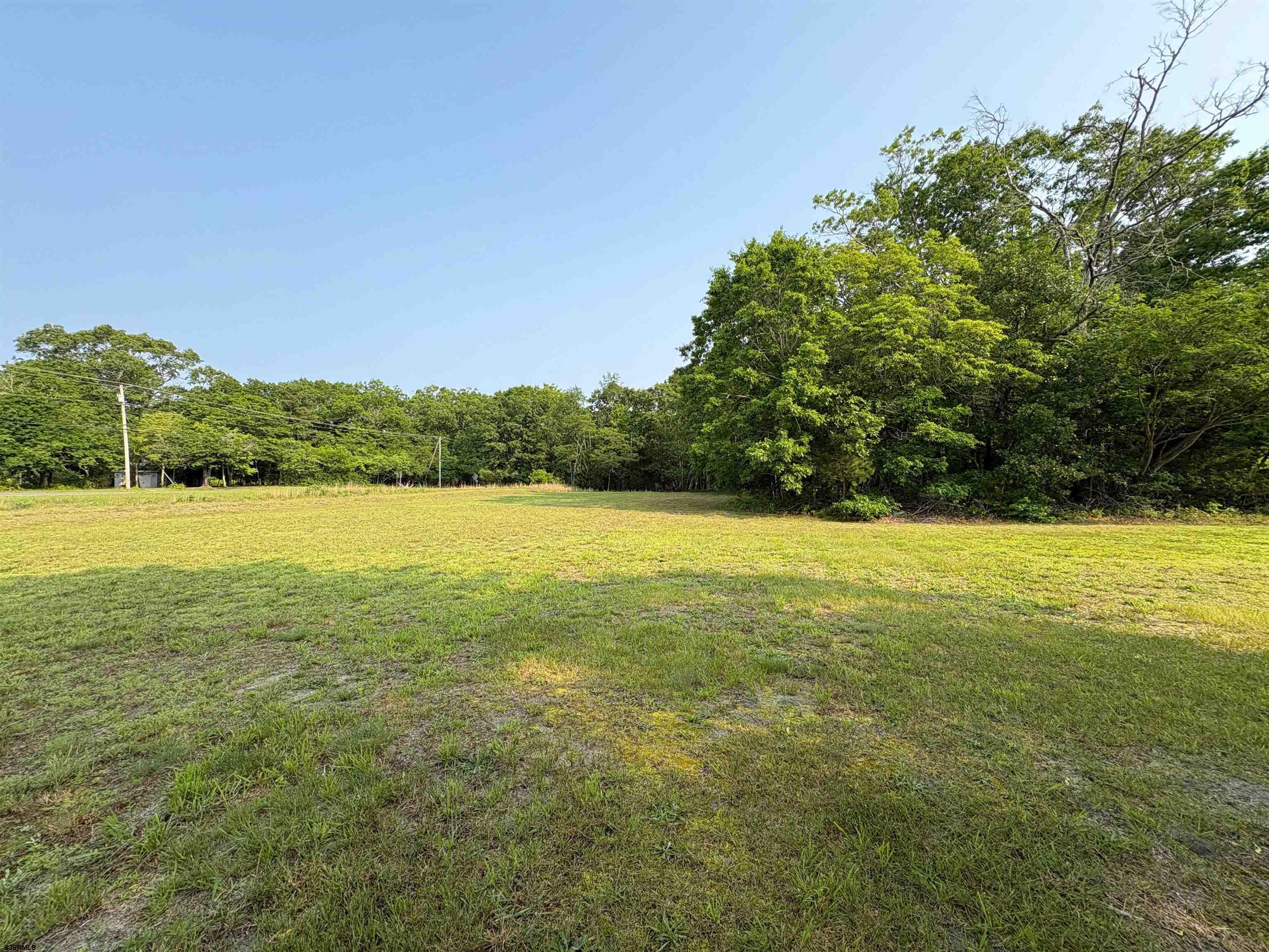 301 Broad Street Milmay, NJ 08330 - Photo 55 of 64 a view of yard with lake and trees in the background