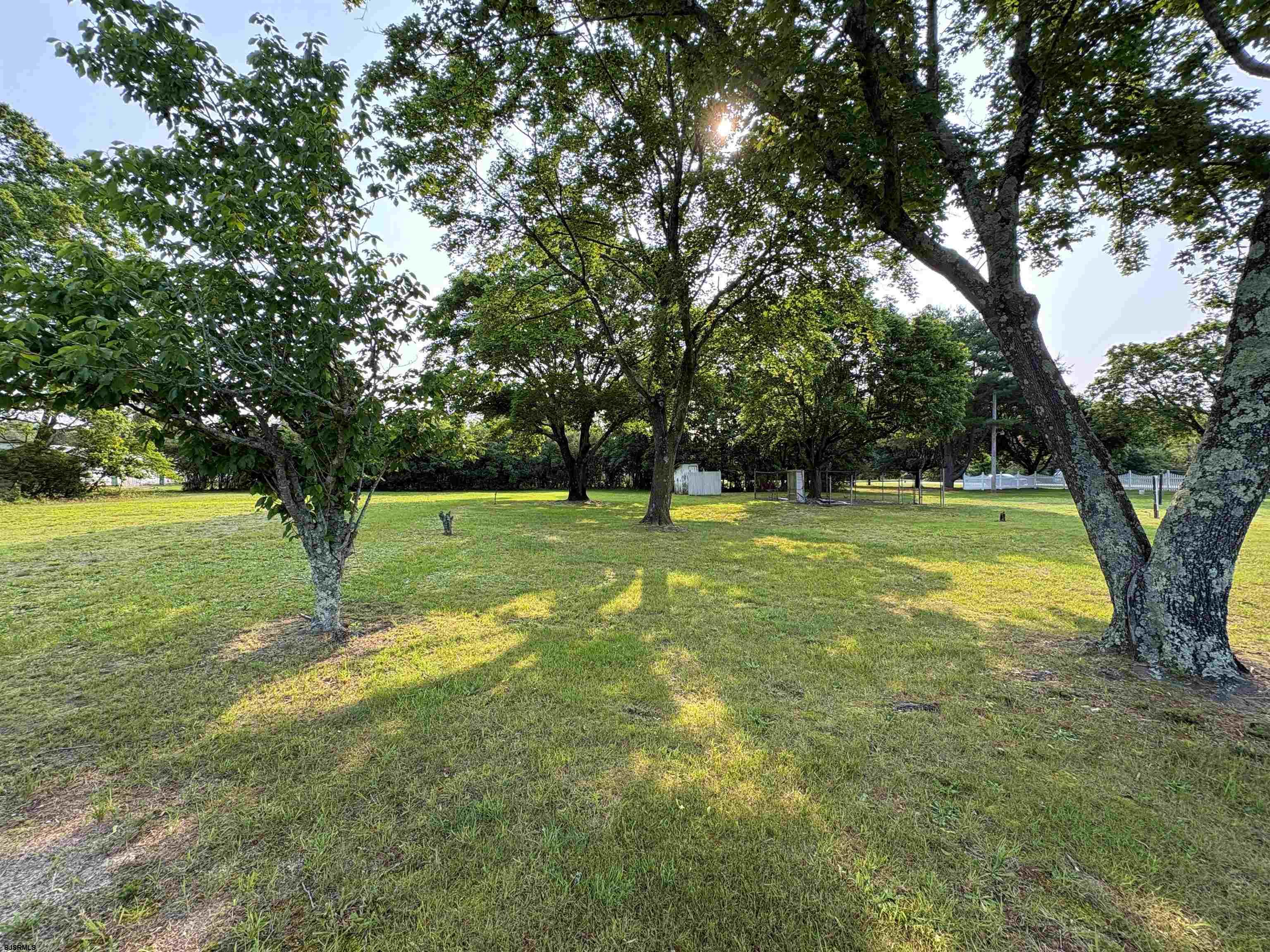 301 Broad Street Milmay, NJ 08330 - Photo 56 of 64 a view of outdoor space with a garden