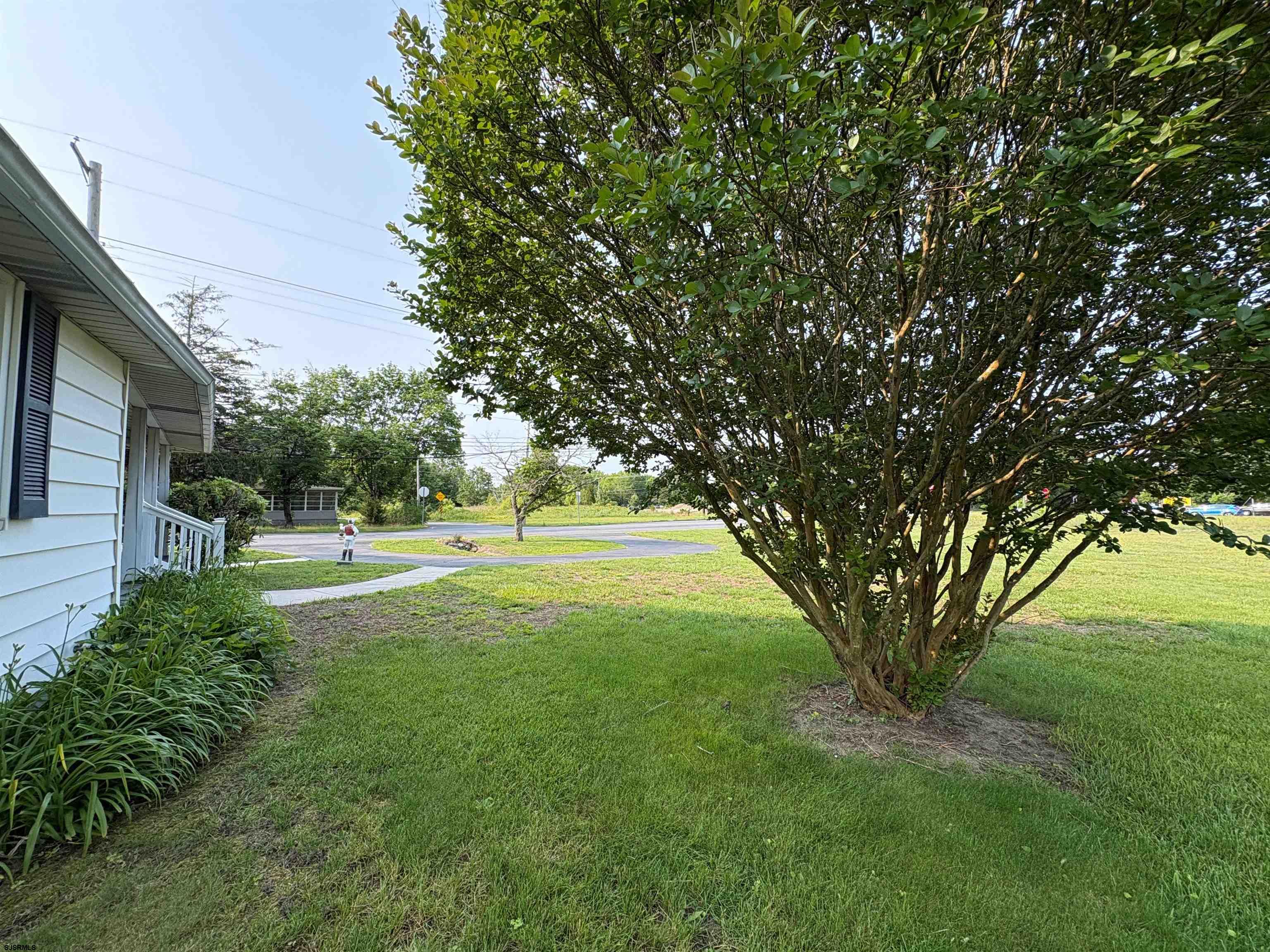 301 Broad Street Milmay, NJ 08330 - Photo 58 of 64 a view of backyard with large trees