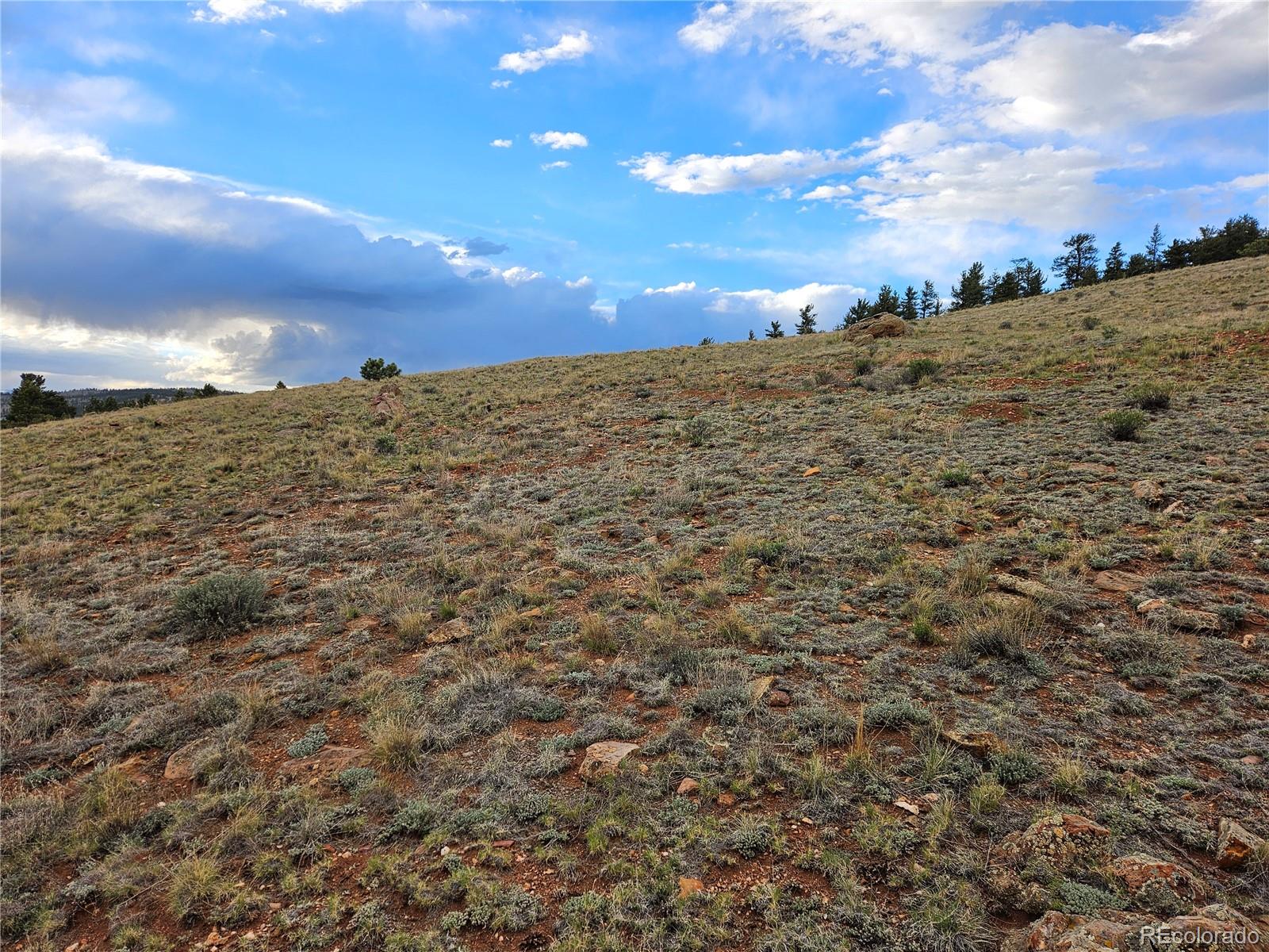 Fernando Trail Hartsel, CO 80449 - Photo 34 of 35
