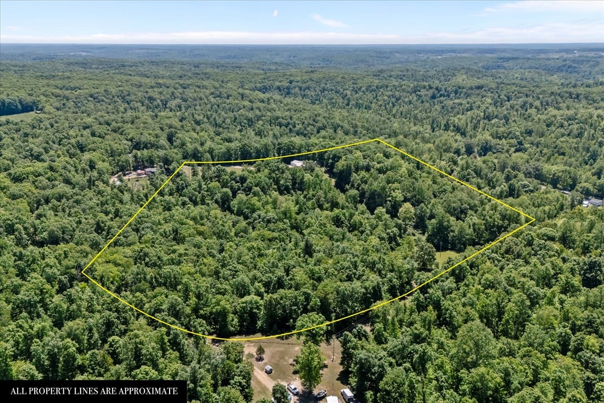 254 Shiloh Hollow Road Erin, TN 37061 - Photo 53 of 63