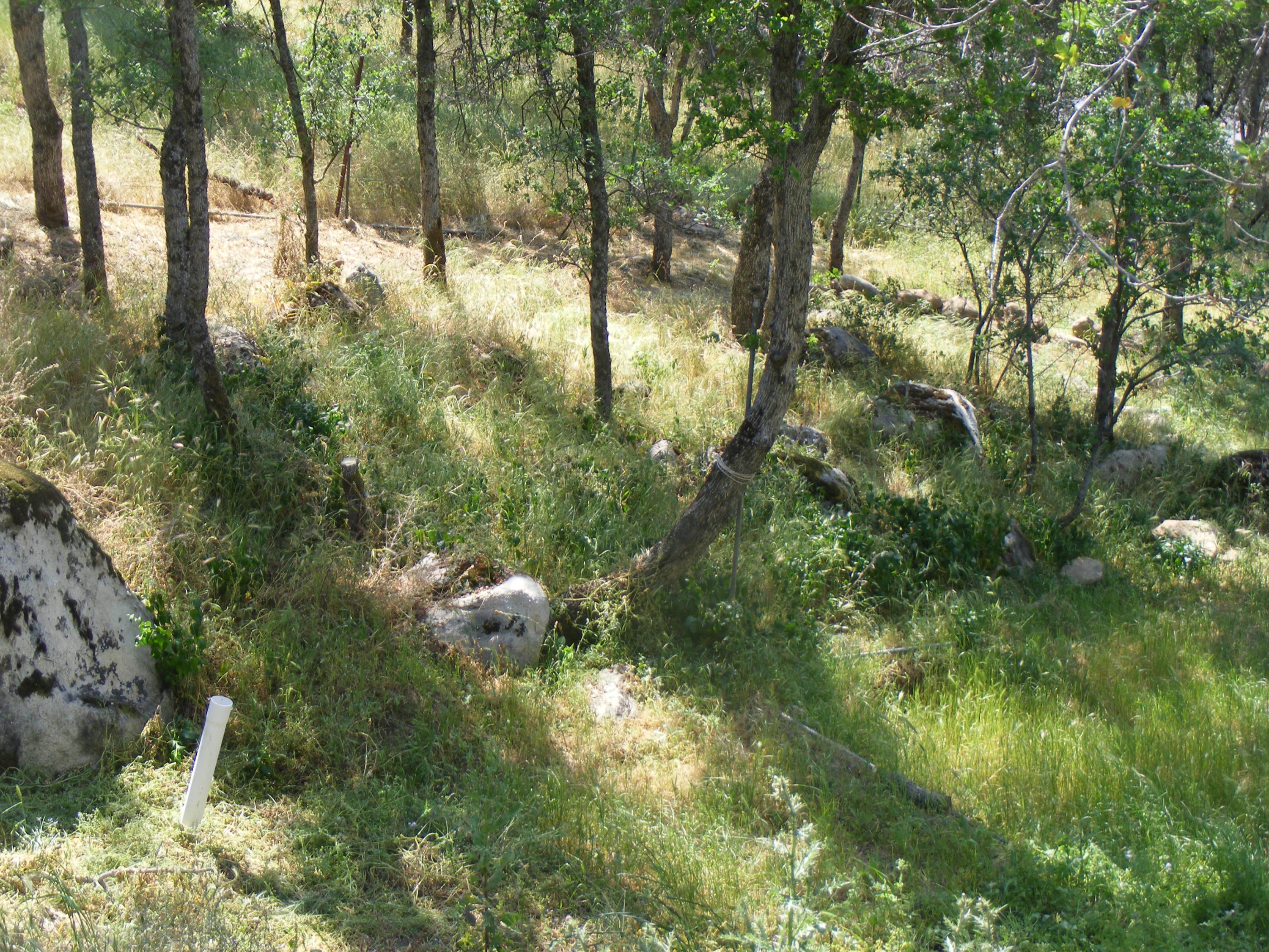 42504 Sierra Drive Three Rivers, CA 93271 - Photo 52 of 70 DSCF3054