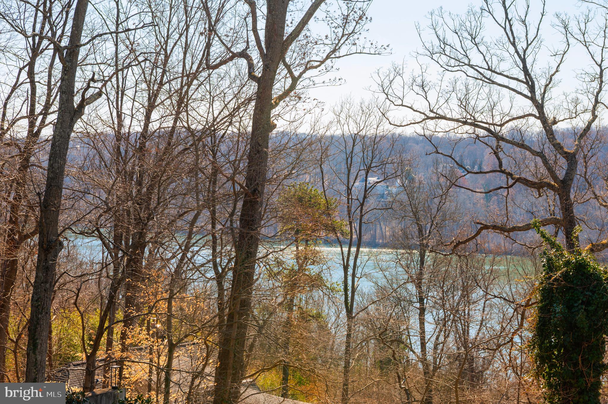 5124 Wissioming Road Bethesda, MD 20816 - Photo 3 of 49 a view of a yard with plants and trees
