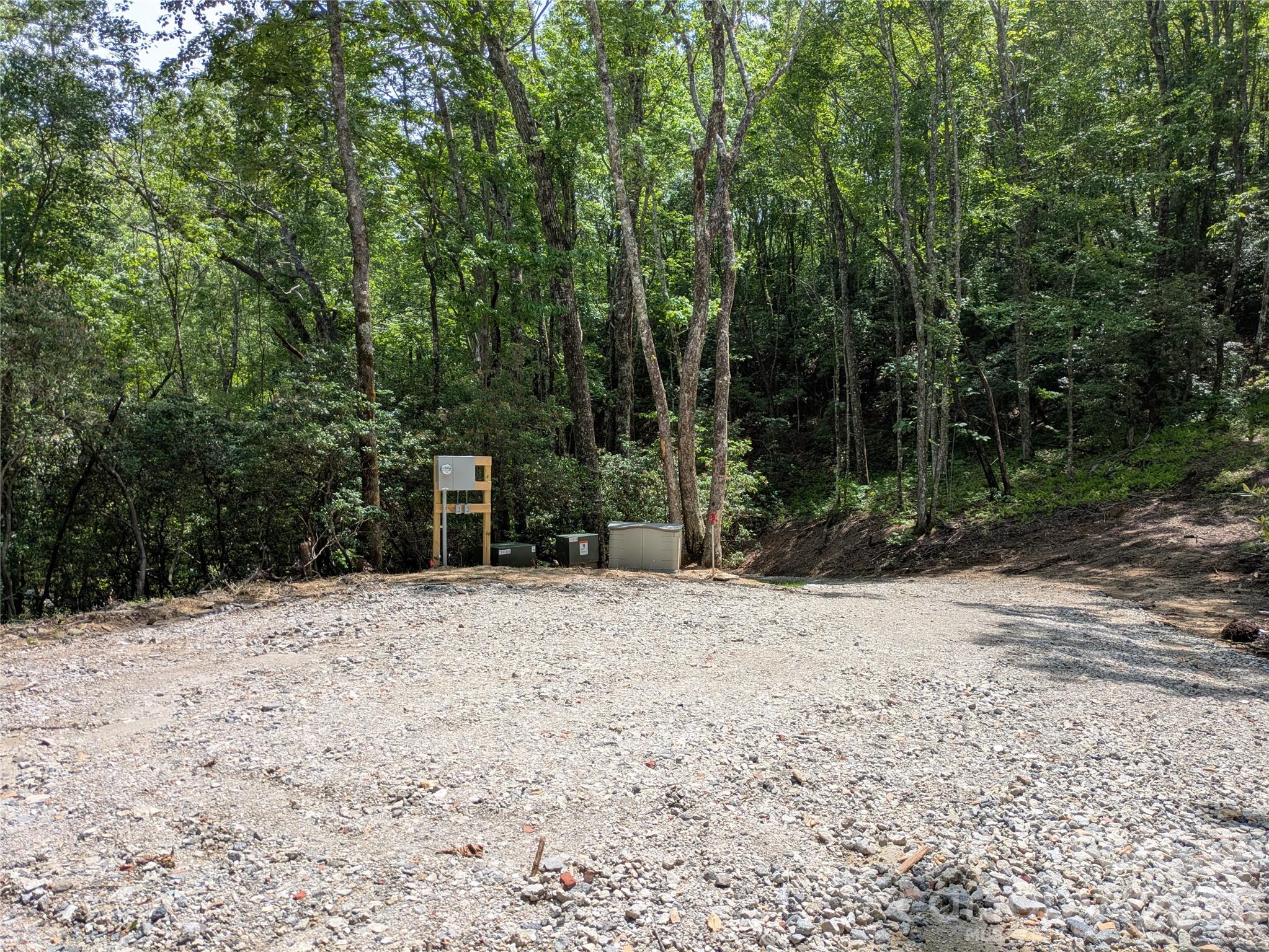 313 Line Runner Ridge Road Brevard, NC 28712 - Photo 2 of 33