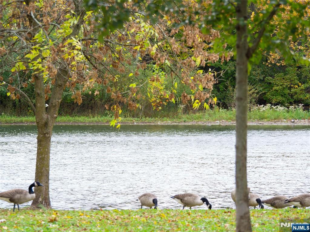 56 Fox Run Drive, Unit 56 Englewood, NJ 07631 - Photo 31 of 31 a view of lake