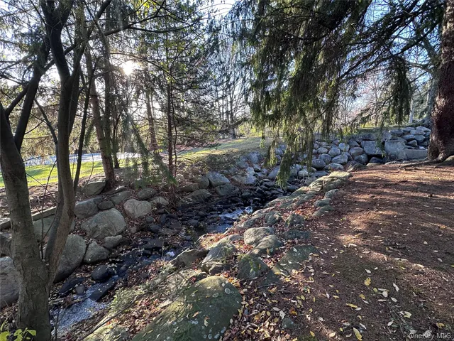 a view of a forest filled with trees