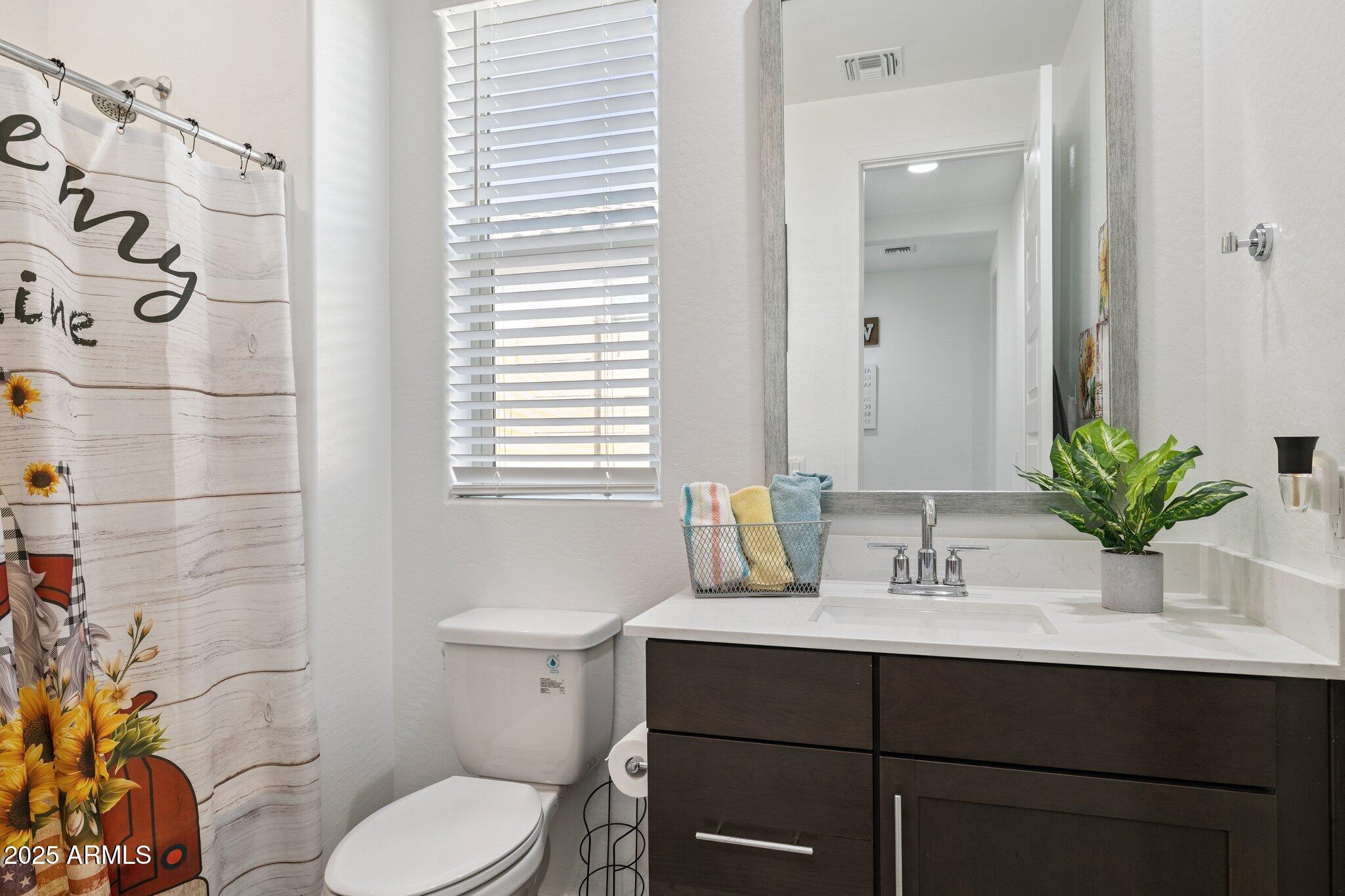12347 East Soloman Road Gold Canyon, AZ 85118 - Photo 24 of 51 a bathroom with a sink toilet and shower