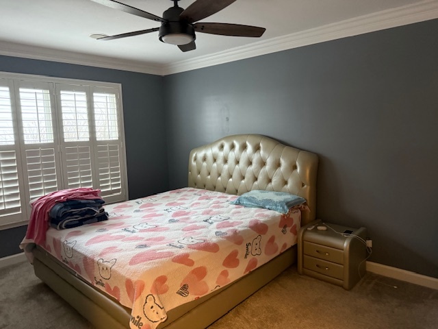 1940 Carriage Hill Road Lisle, IL 60532 - Photo 7 of 14