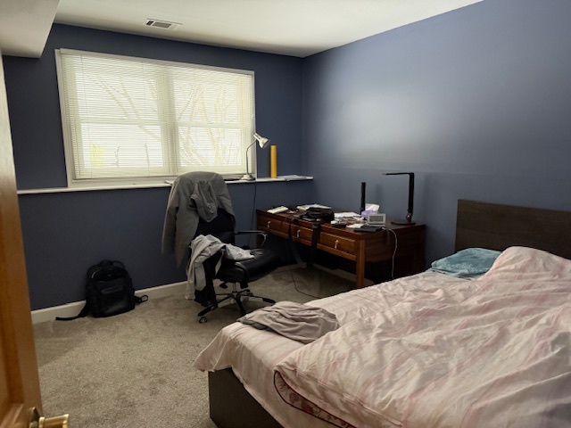 1940 Carriage Hill Road Lisle, IL 60532 - Photo 10 of 14