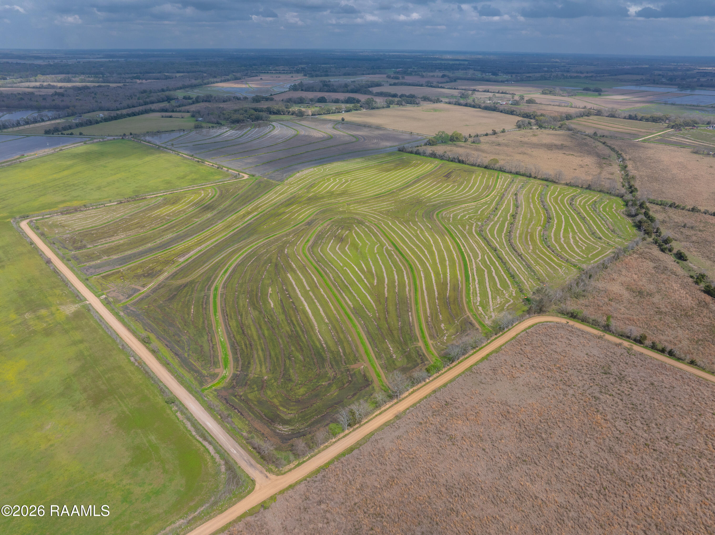 0 Brigman Church Point Church Point, LA 70525 - Photo 12 of 23 BrigmanHwy.2.-4