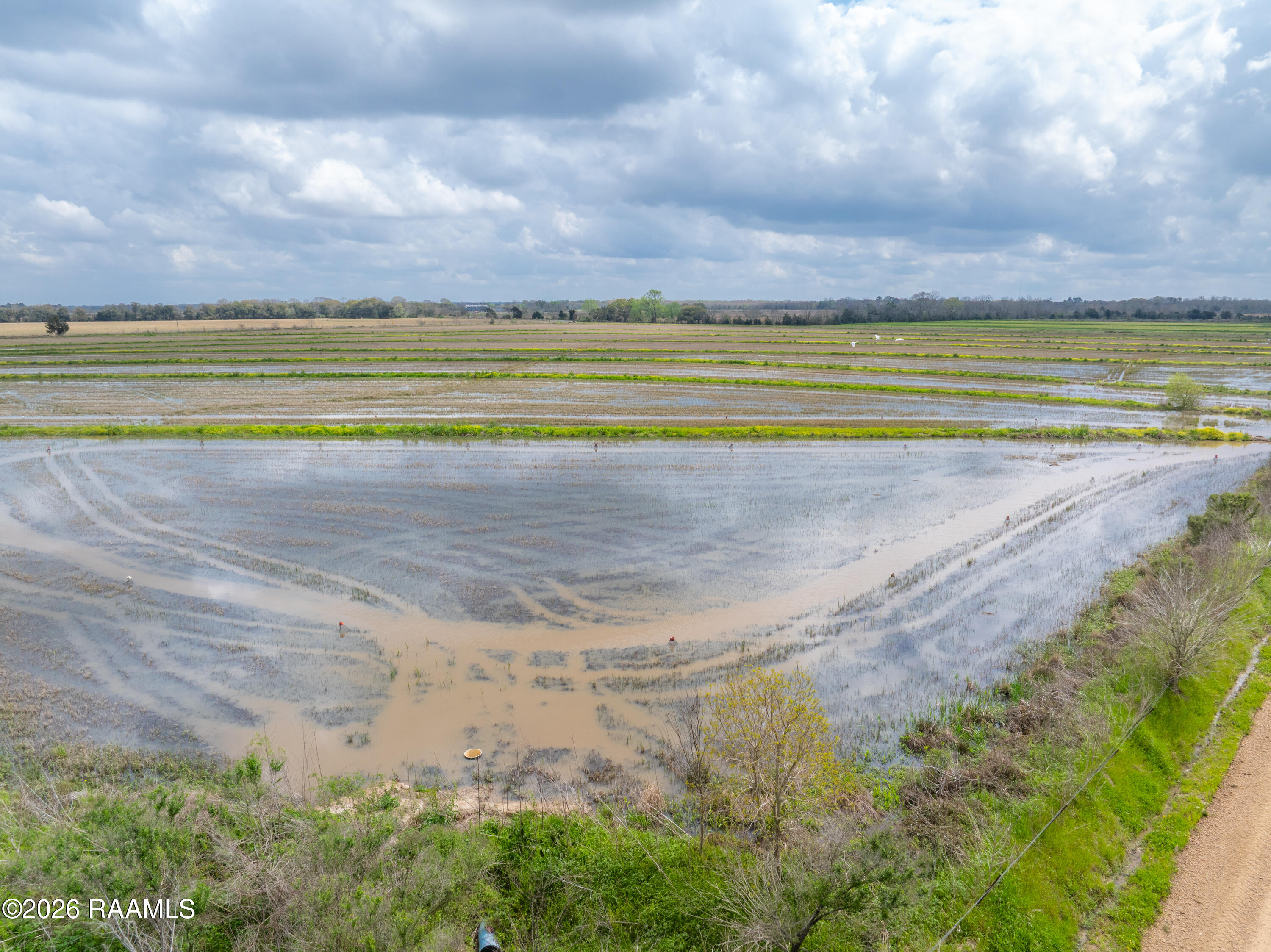 0 Brigman Church Point Church Point, LA 70525 - Photo 8 of 23 BrigmanHwy.2.-11