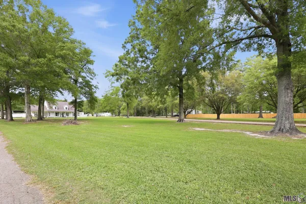 $650,000 | 29725 Henderson Lane, Walker, LA 70785