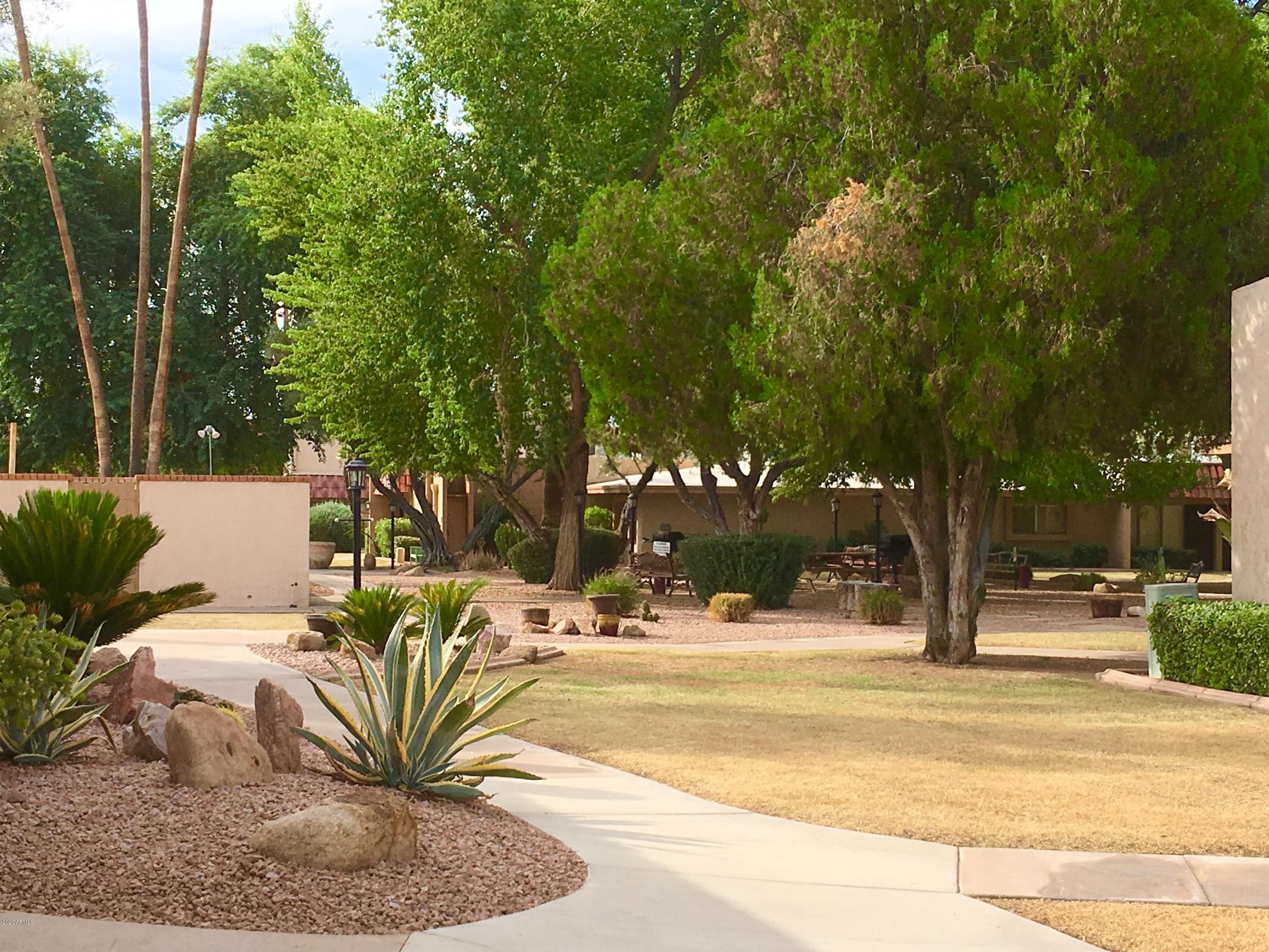 1320 East Bethany Home Road, Unit 35 Phoenix, AZ 85014 - Photo 23 of 33 Beautiful Grounds