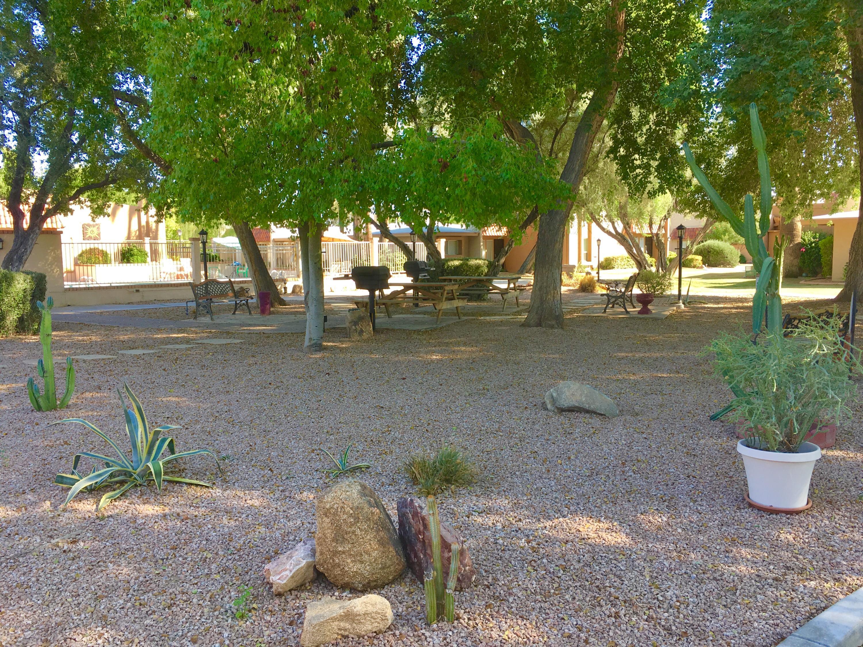 1320 East Bethany Home Road, Unit 35 Phoenix, AZ 85014 - Photo 28 of 33 Large Shady Picnic Area