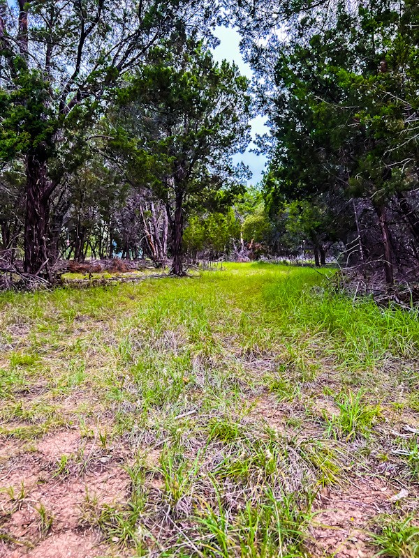 None Border Street Lago Vista, TX 78645 - Photo 5 of 8 a view of a backyard with large trees