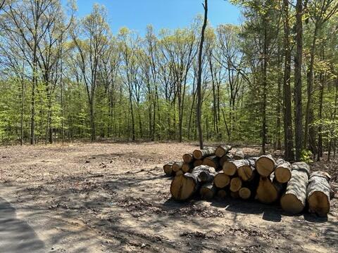 0 South Walker Road Fruitport, MI 49415 - Photo 3 of 7 IMG_0782