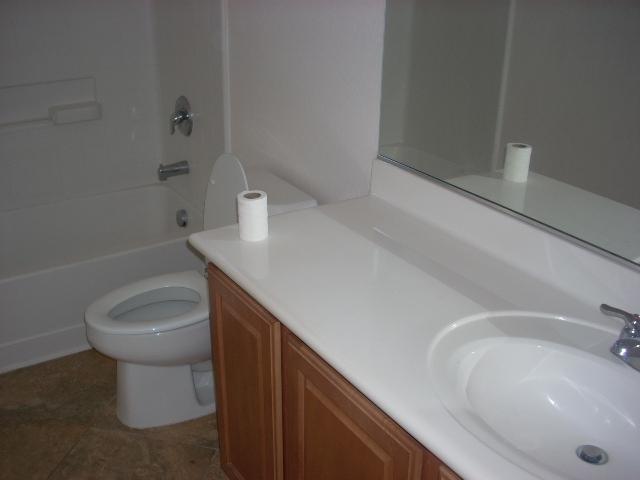 5337 West Carson Road Laveen, AZ 85339 - Photo 12 of 20 downstairs bath