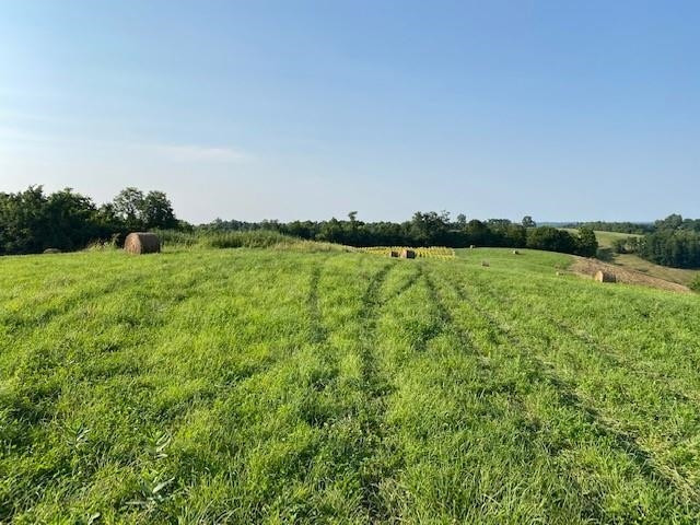 603 Cane Run Road Carlisle, KY 40311 - Photo 22 of 32 Gallery Image 22