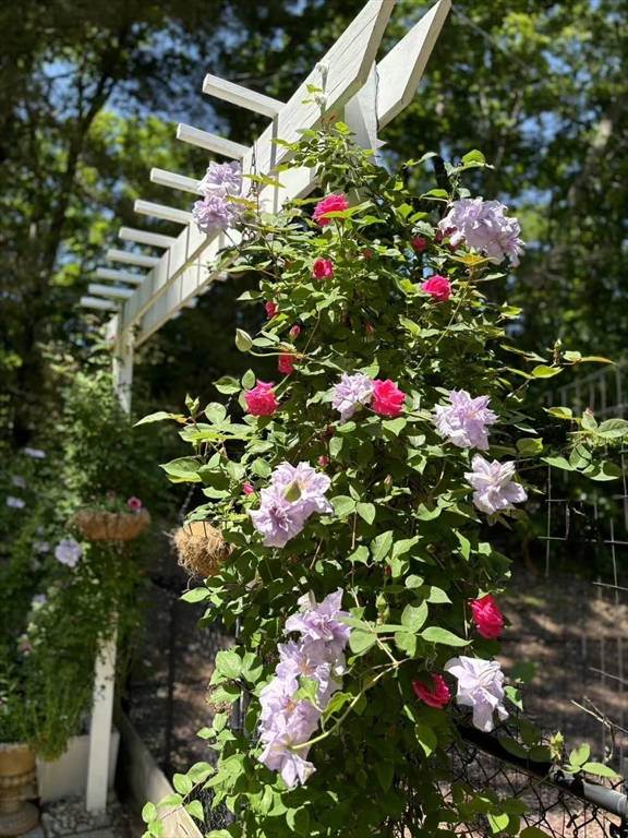 227 Thurber Avenue Attleboro, MA 02703 - Photo 31 of 42