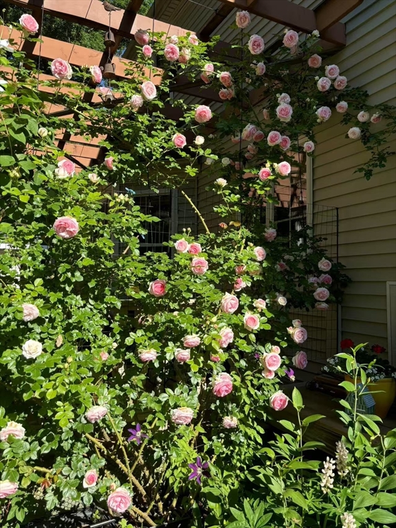 227 Thurber Avenue Attleboro, MA 02703 - Photo 33 of 42