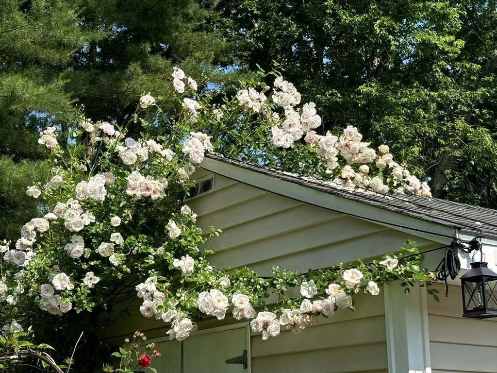 227 Thurber Avenue Attleboro, MA 02703 - Photo 35 of 42