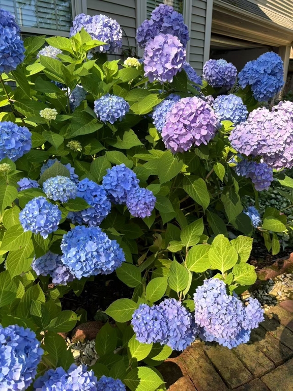 227 Thurber Avenue Attleboro, MA 02703 - Photo 37 of 42