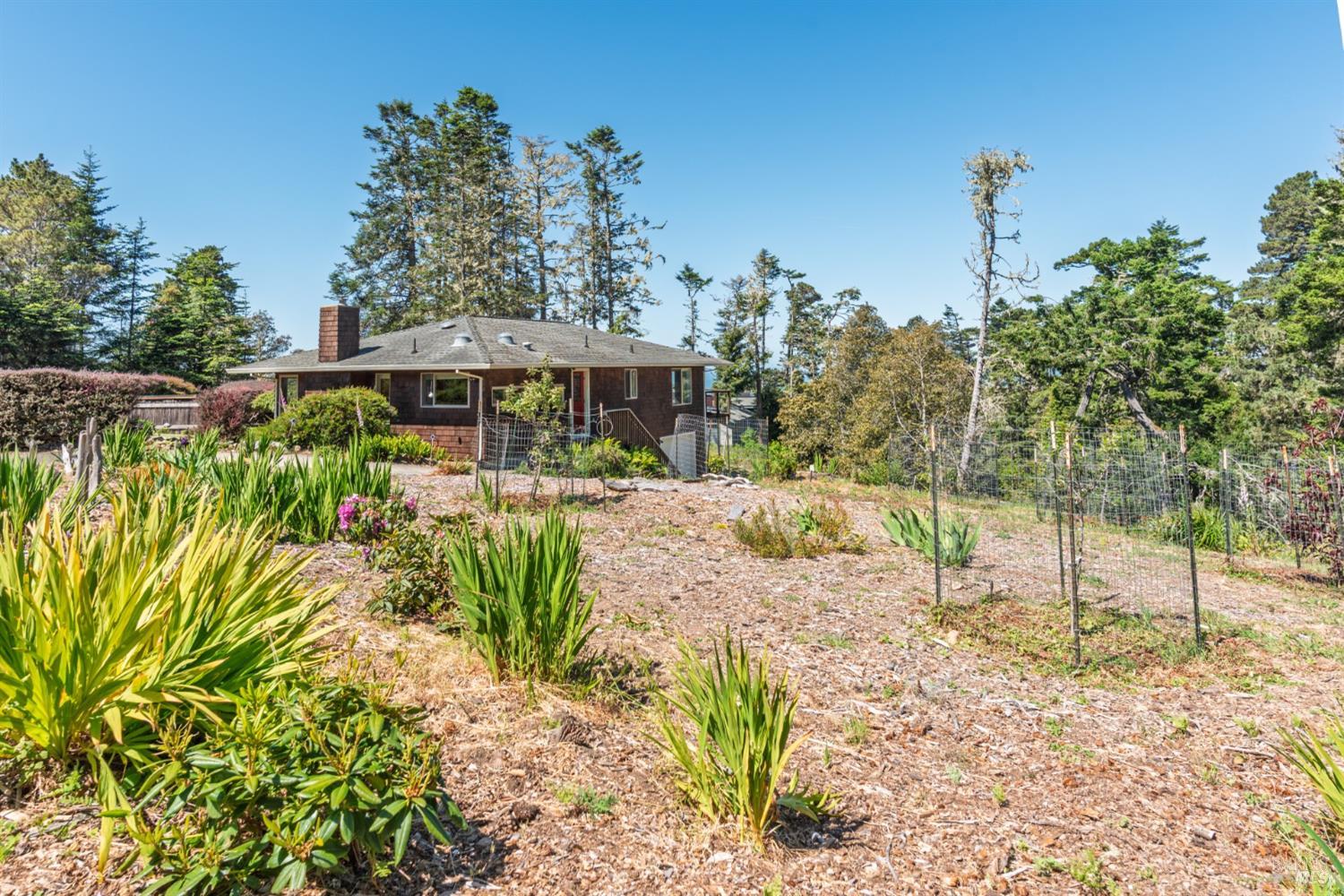 15721 Forest View Road Manchester, CA 95459 - Photo 41 of 50 The 1.17 +/- acre parcel consists of 3 merged parcels and offers privacy and room to expand. A mini fruit tree garden has been started on the east side of the parcel..