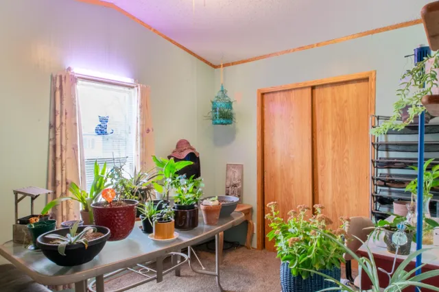 a living room with furniture and flowers