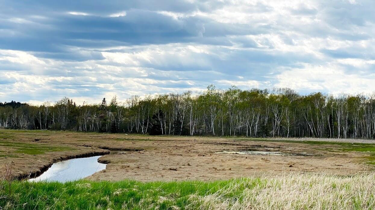 238-240 South Lubec Road Lubec, ME 04652 - Photo 20 of 22 IMG_6943