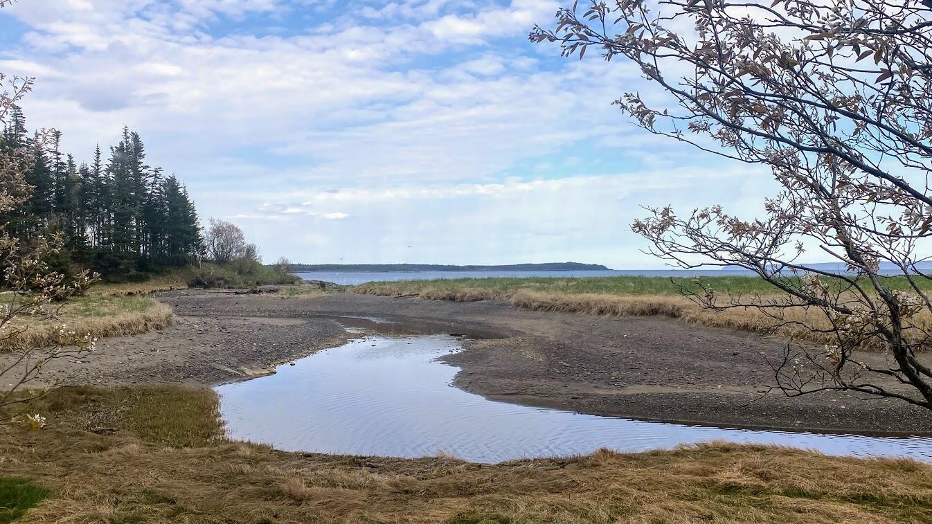 238-240 South Lubec Road Lubec, ME 04652 - Photo 21 of 22 IMG_6958