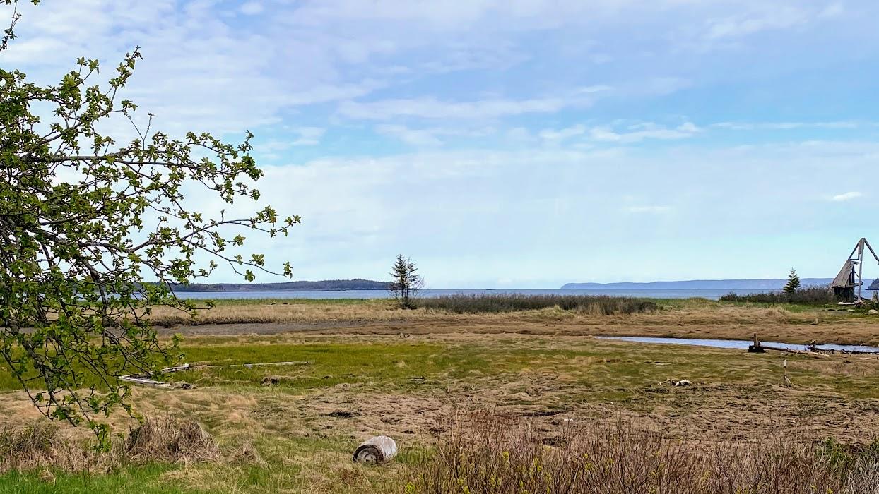 238-240 South Lubec Road Lubec, ME 04652 - Photo 3 of 22 IMG_6953 (1)