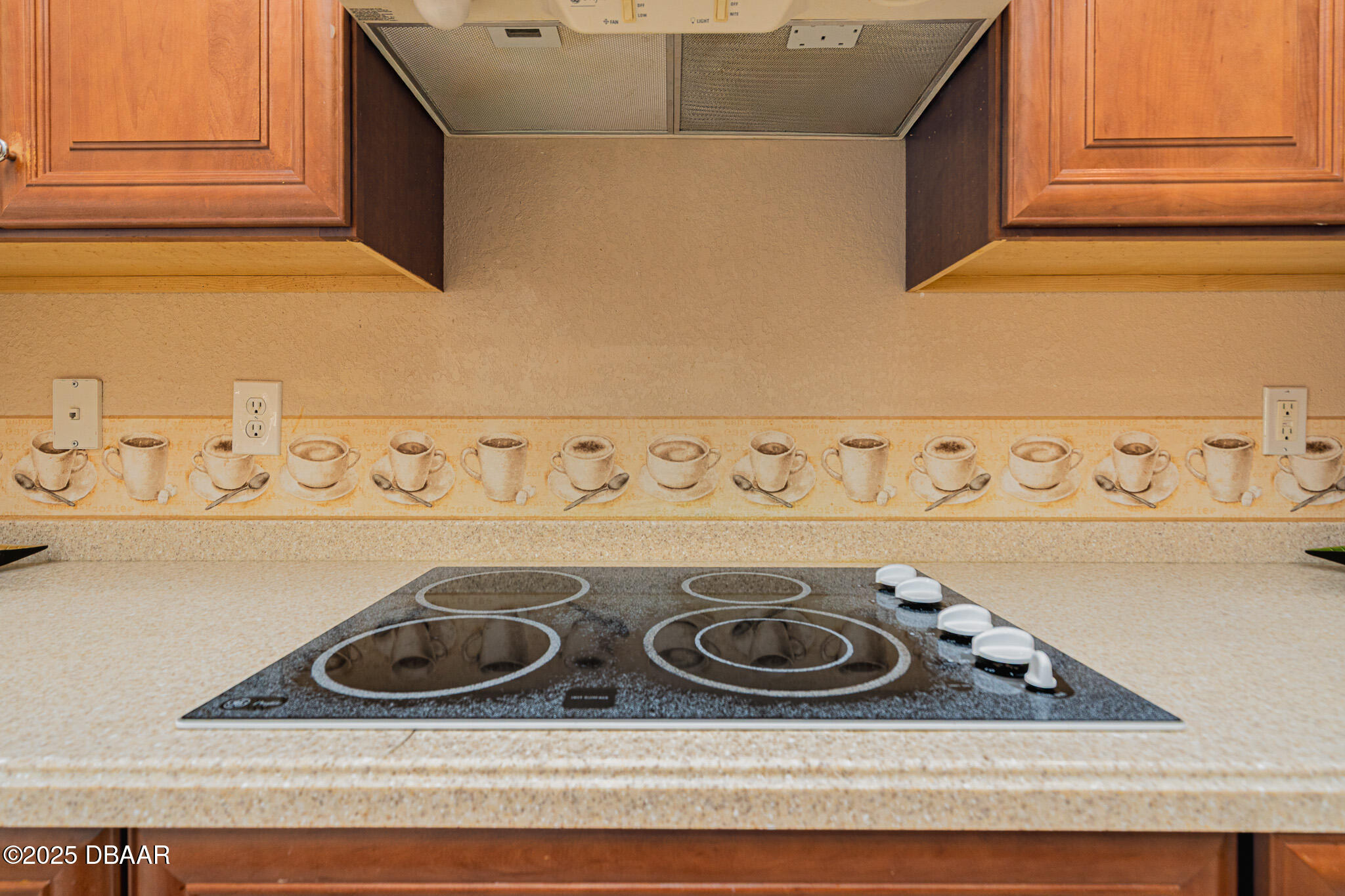 4427 South Atlantic Avenue Ponce Inlet, FL 32127 - Photo 15 of 97 14