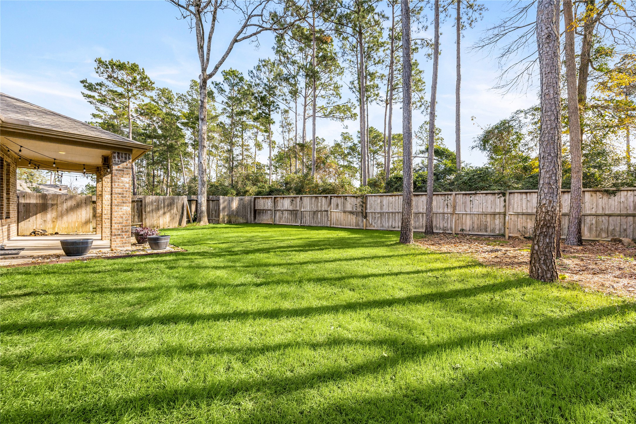 14023 Beaverhead Range Court Conroe, TX 77384 - Photo 25 of 30 Mature pine trees border the property, providing a picturesque backdrop and a sense of tranquility
