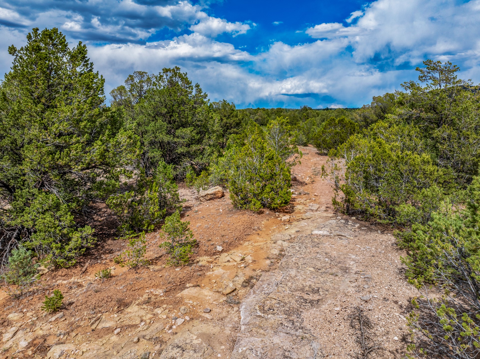 2.38-acres Old Colonias Road Pecos, NM 87552 - Photo 15 of 25