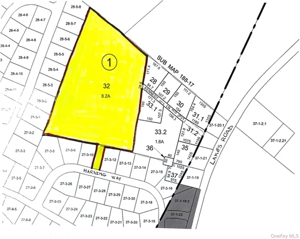 a view of a lush green space