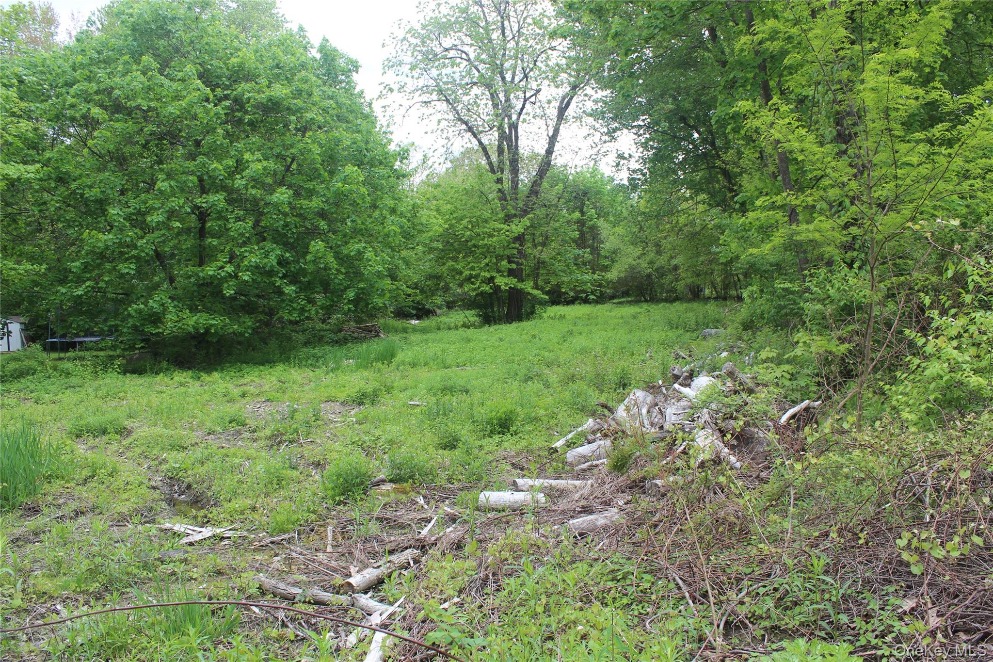 30 Harding Way Monroe, NY 10950 - Photo 4 of 7 a view of a lush green space