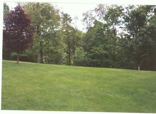 617 Adams Court Apollo, PA 15613 - Photo 3 of 8 Yard/Garden.