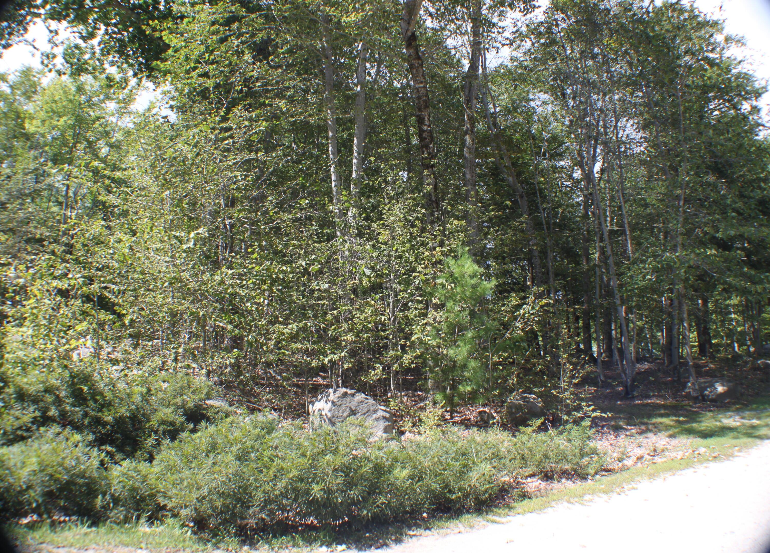 17 Emerald Point Drive Standish, ME 04084 - Photo 6 of 17 6