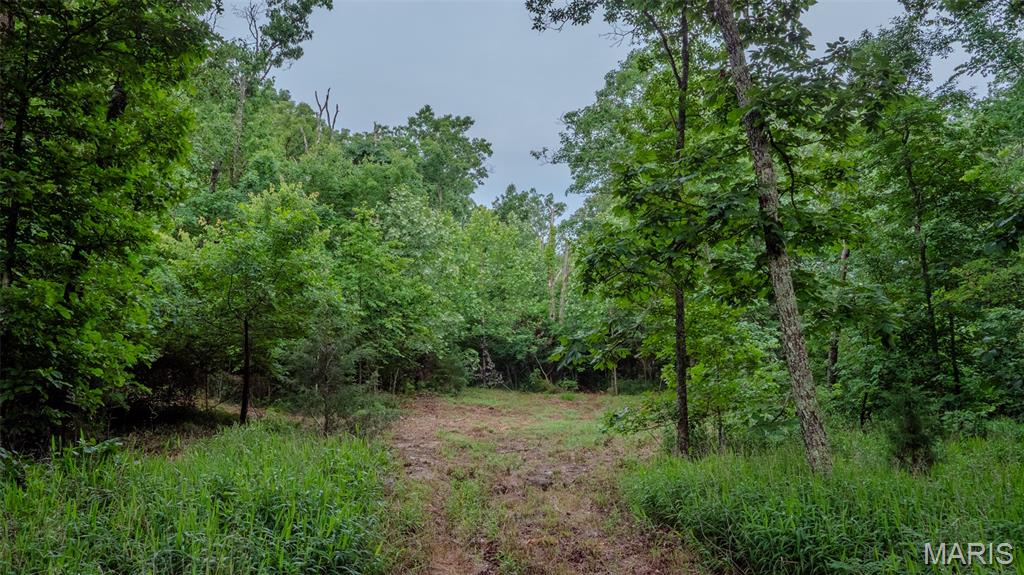 0 Hwy M Cabool, MO 65689 - Photo 18 of 68