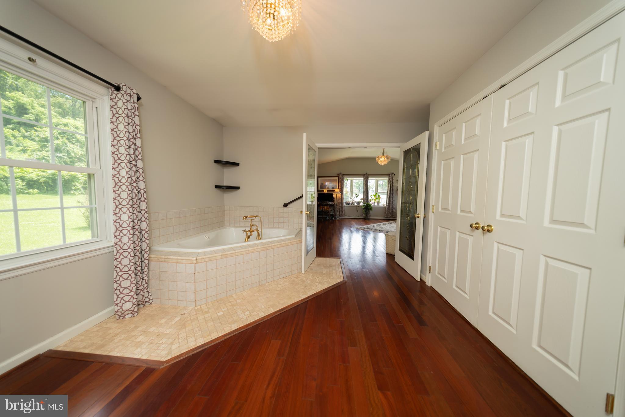 4179 Fiery Run Road Linden, VA 22642 - Photo 22 of 80 Primary Bath Soaking Jetted Tub