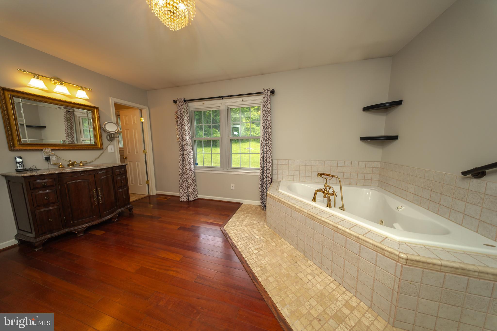 4179 Fiery Run Road Linden, VA 22642 - Photo 23 of 80 Primary Bath Soaking Jetted Tub