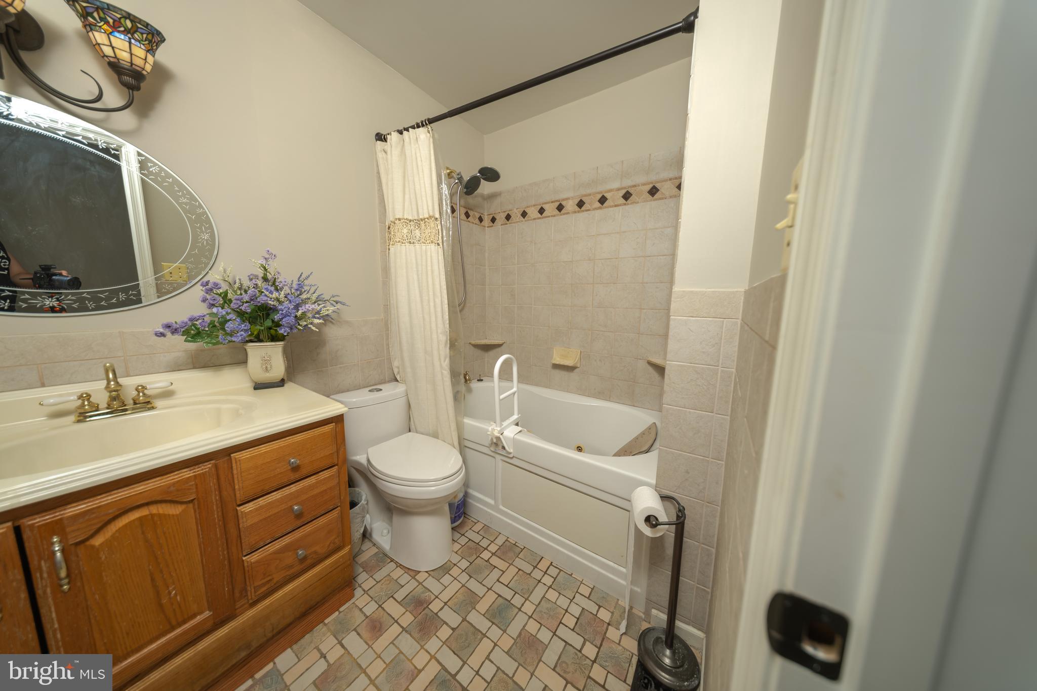 4179 Fiery Run Road Linden, VA 22642 - Photo 31 of 80 Hall Full Bath with Jetted Tub