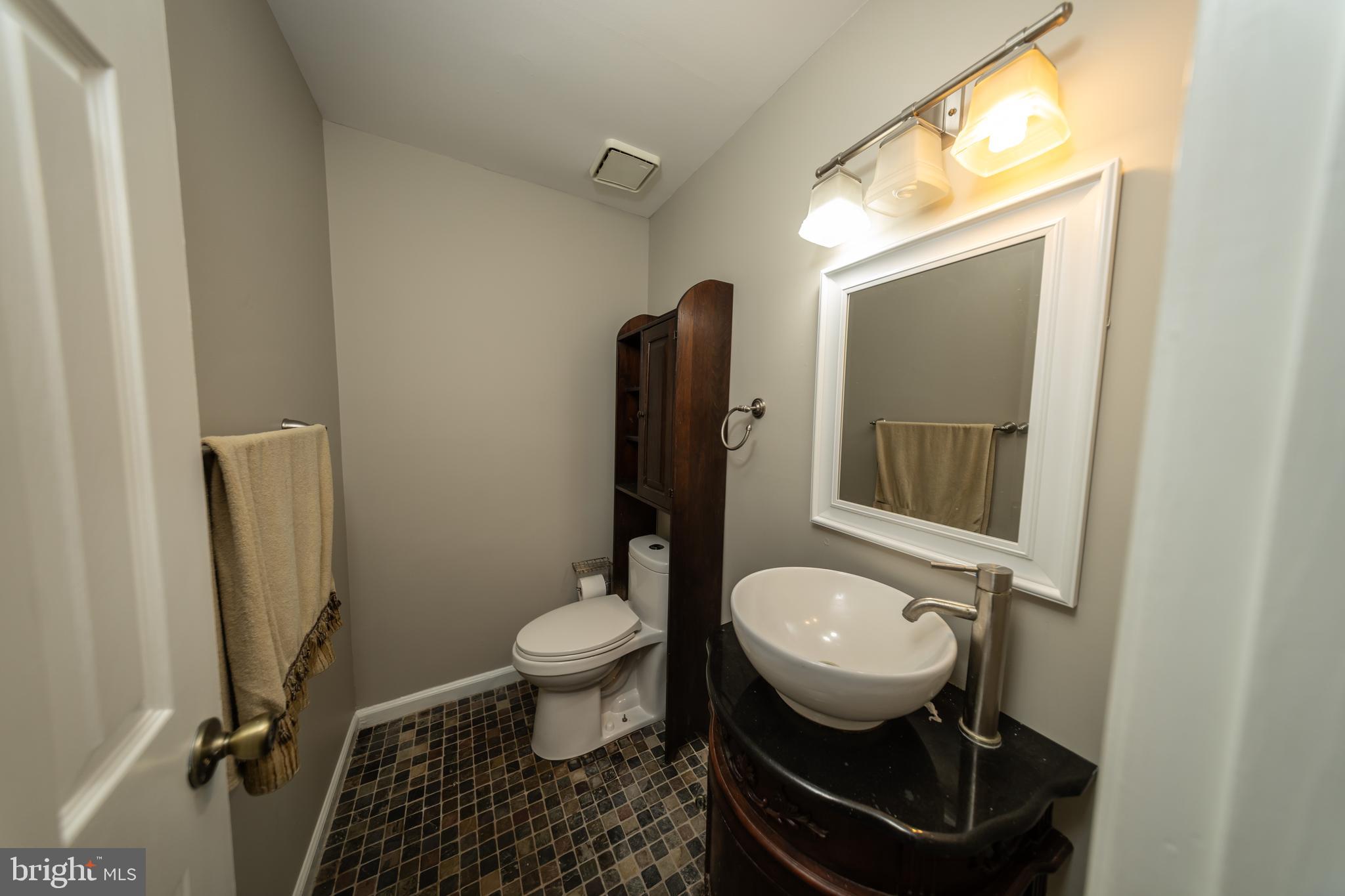 4179 Fiery Run Road Linden, VA 22642 - Photo 37 of 80 Lower Level Bathroom