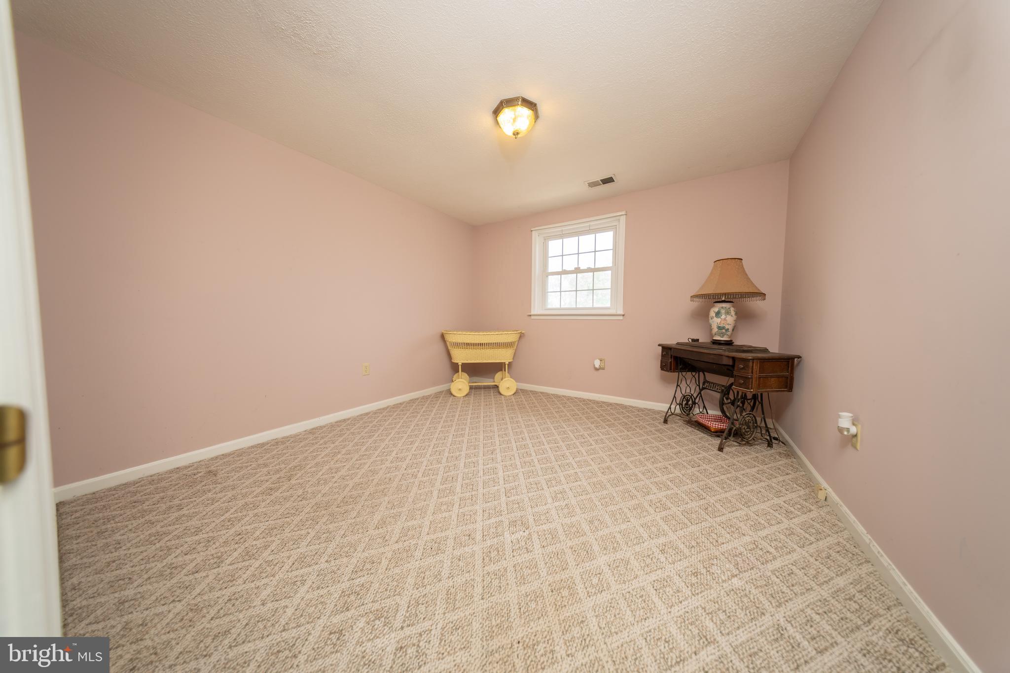 4179 Fiery Run Road Linden, VA 22642 - Photo 41 of 80 Lower Level Bedroom Five