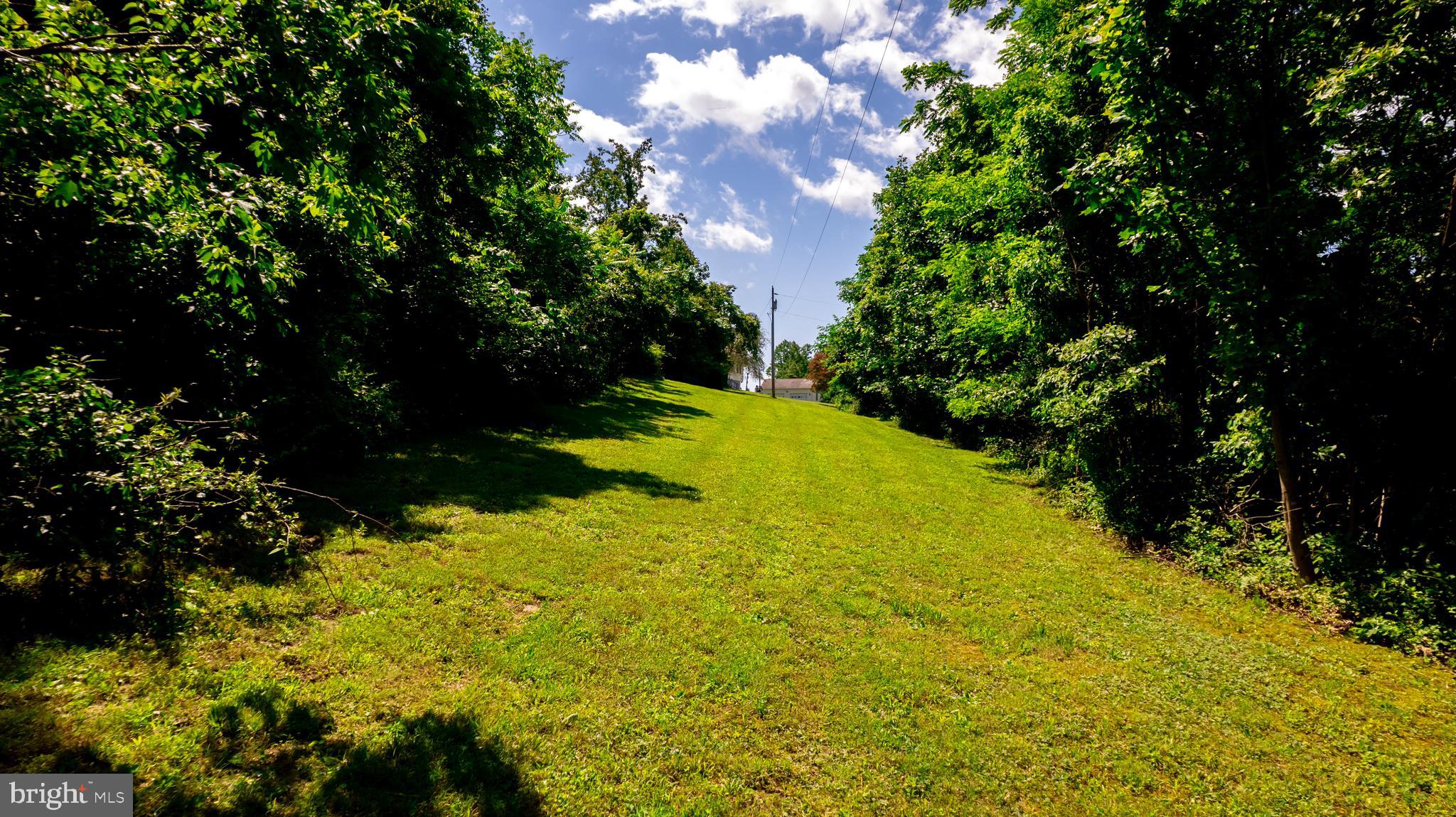 4179 Fiery Run Road Linden, VA 22642 - Photo 54 of 80 Land