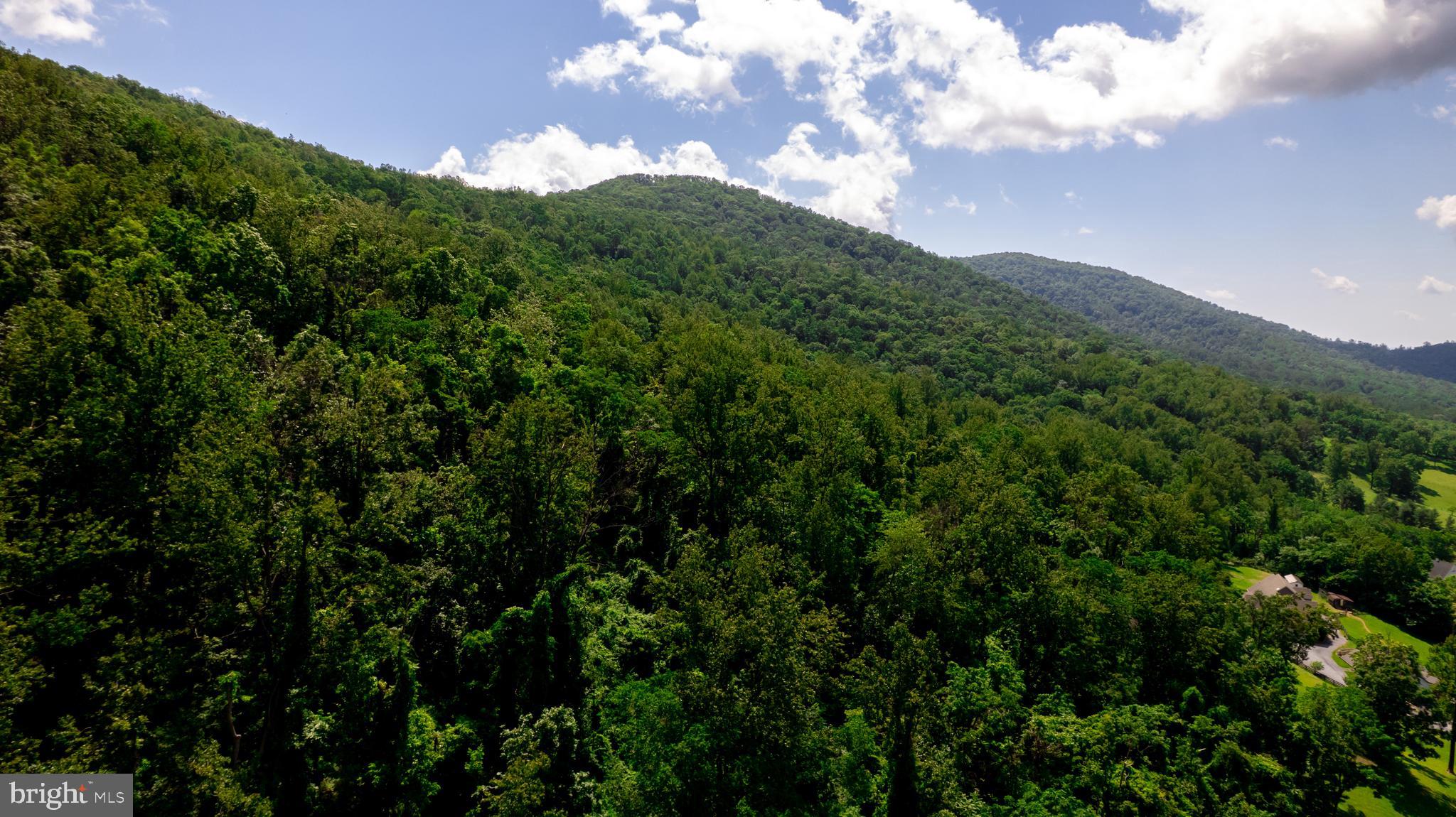 4179 Fiery Run Road Linden, VA 22642 - Photo 61 of 80 Land