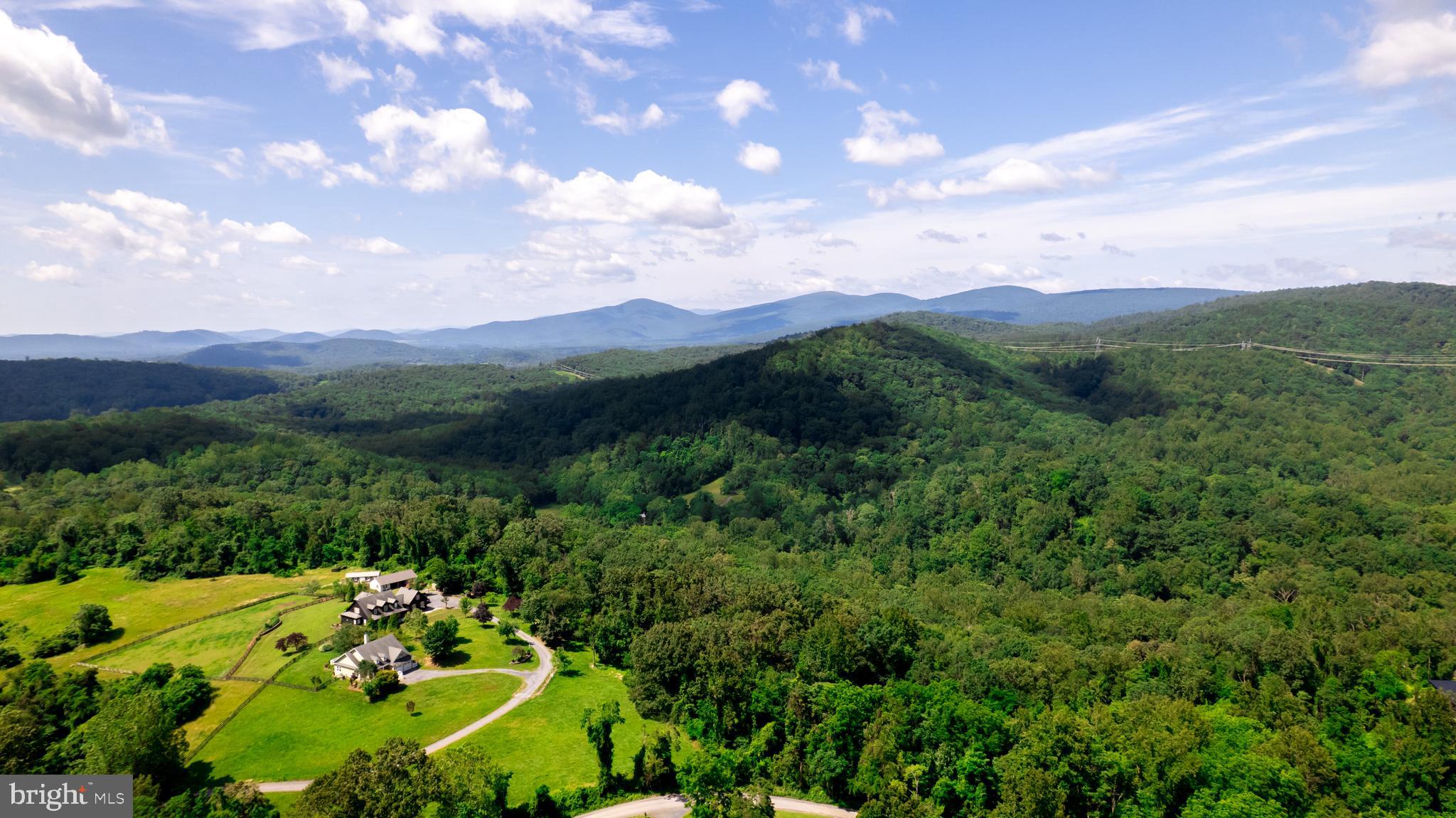 4179 Fiery Run Road Linden, VA 22642 - Photo 62 of 80 Land