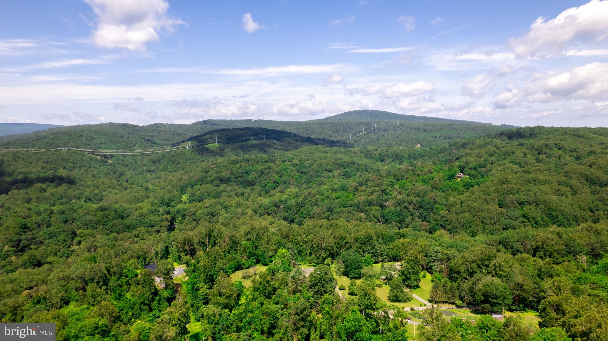 4179 Fiery Run Road Linden, VA 22642 - Photo 65 of 80 Land